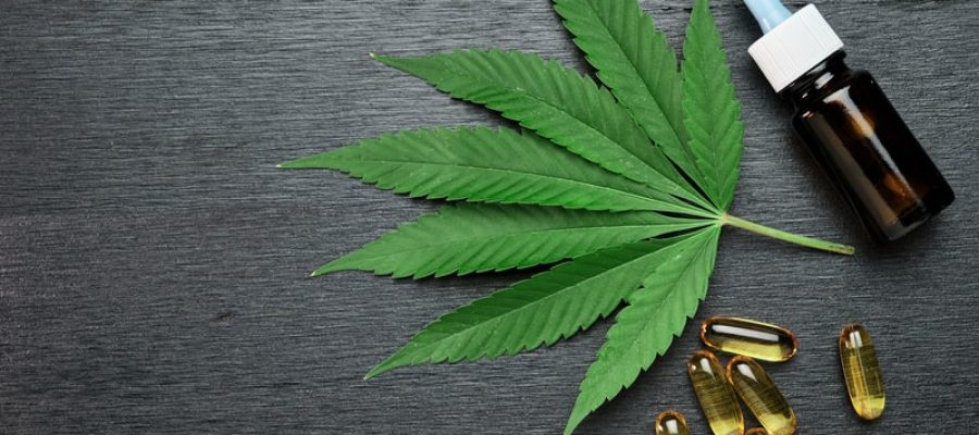 Gestão bolsonarista de SP superfatura até medicamentos à base de maconha, alerta Agência Pública