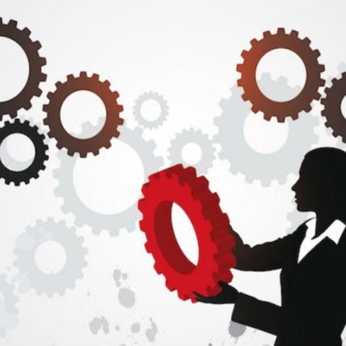 Dia Mundial do Empreendedorismo Feminino impulsiona talentos em vários setores