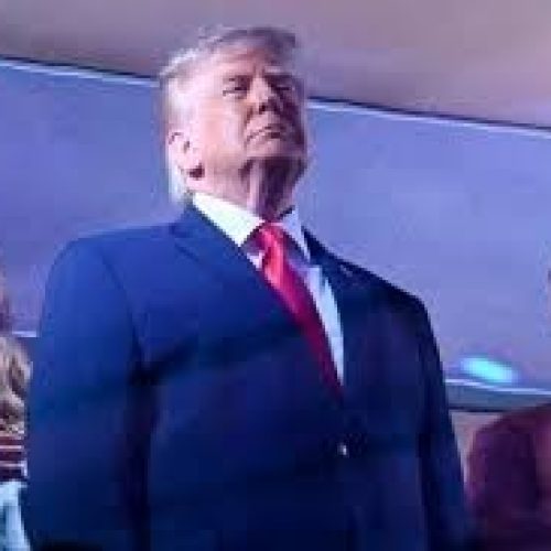 Marina Amaral: “Trump não merece receber a Copa do Mundo”