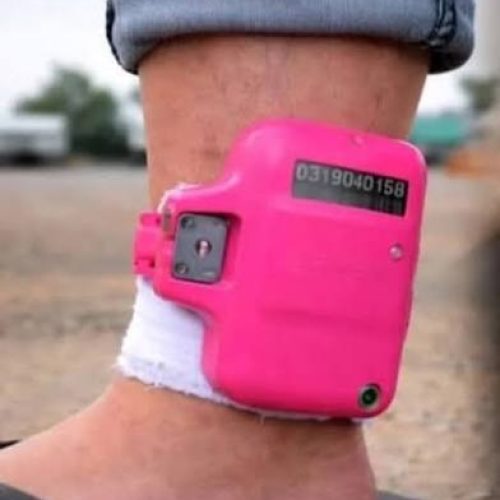 Os “machões redpills” vão encarar a vida cor-de-rosa no RJ: deputados aprovam tornozeleira especial para agressores de mulheres