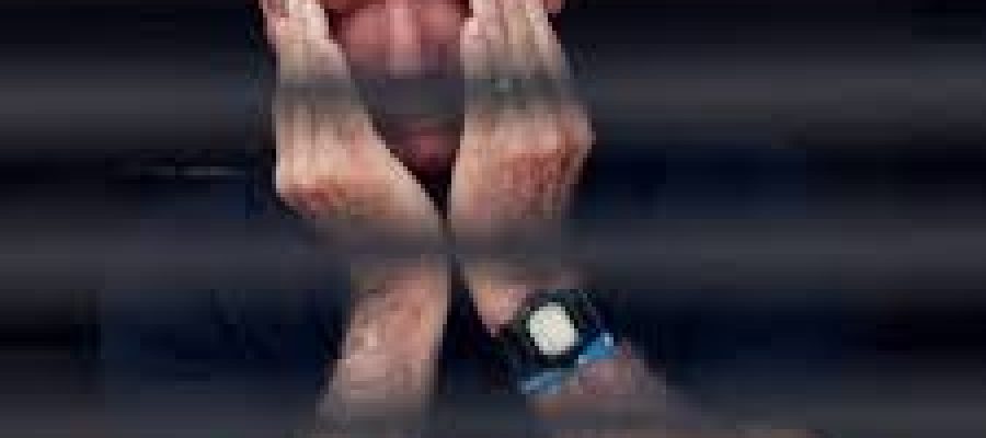 Cuidemos da dignidade dos internos da Papuda! Presidiários estão em reabilitação – merecem respeito e não podem ser contaminados por bandidos mais perigosos!