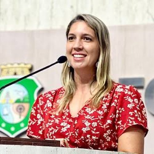 Alece: Larissa Gaspar propõe no Ceará criação do cadastro de pedófilos e agressores sexuais