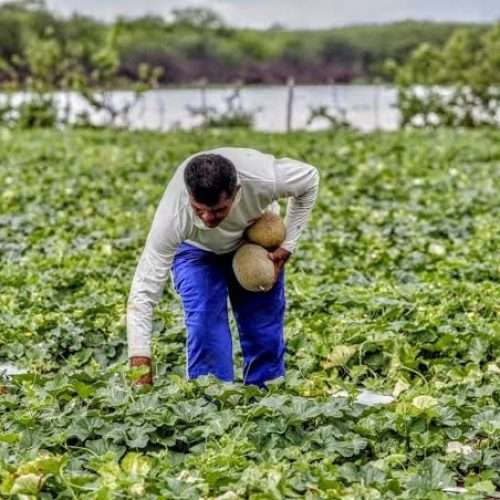 Garantia Safra 2026/2027 deve beneficiar 192 mil agricultores no Ceará;  representantes de municípios fazem reunião de trabalho para a assinatura dos termos de adesão