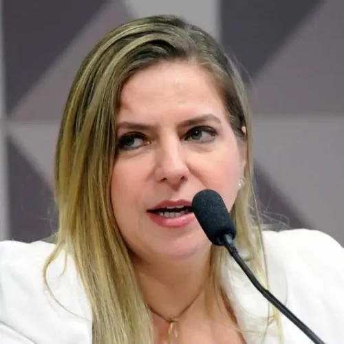 Luizianne propõe aumento de pena para tentativa de feminicídio quando houver amputação de membros e mutilação de órgãos