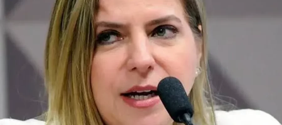 Luizianne propõe aumento de pena para tentativa de feminicídio quando houver amputação de membros e mutilação de órgãos