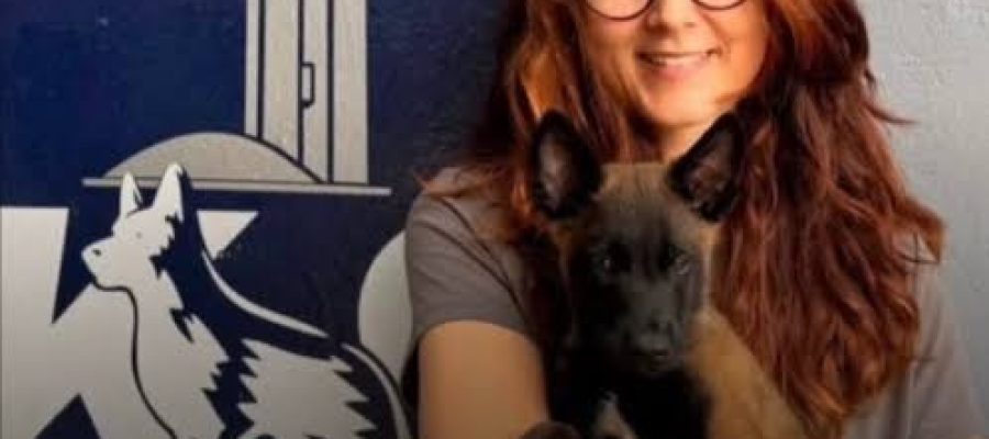 Veterinária atacada por cão de vigilância do Senado está em estado grave; animal foi afastado