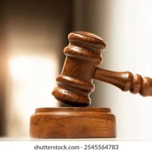 Artigo: “Quando o martelo da justiça é leiloado por interesses privados”