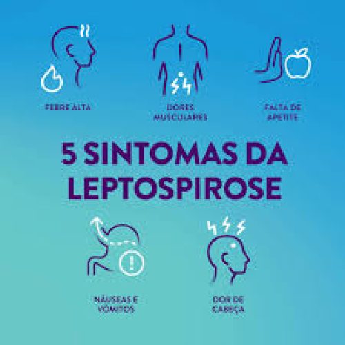 Fortaleza: Prefeitura alerta para os riscos de leptospirose no período chuvoso