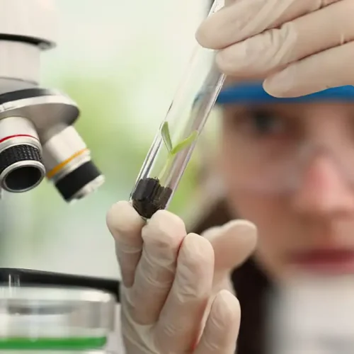Premiação para mulheres e meninas cientistas recebe inscrições até outubro