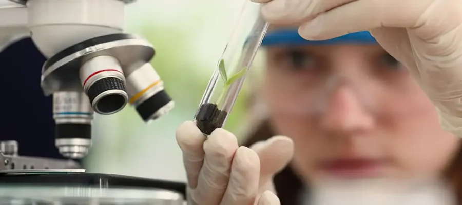 Premiação para mulheres e meninas cientistas recebe inscrições até outubro