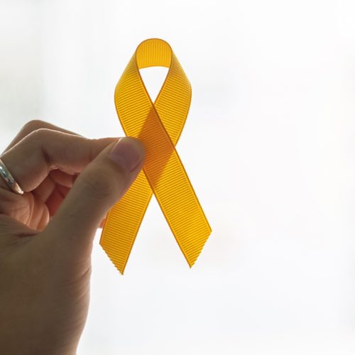 Ceará: Ministério Público faz treinamento sobre relações familiares na prevenção ao suicídio