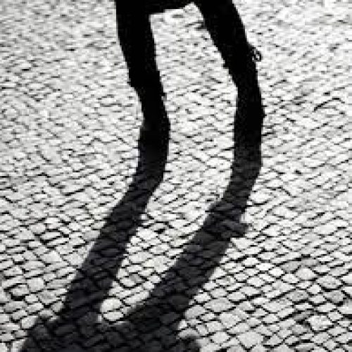 A Crônica da Tuty: “Sombras do esclarecimento”