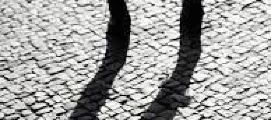 A Crônica da Tuty: “Sombras do esclarecimento”